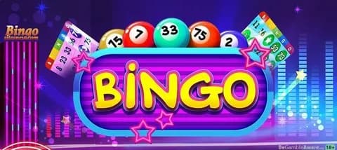 Best Bingo Sites Comparison 2024