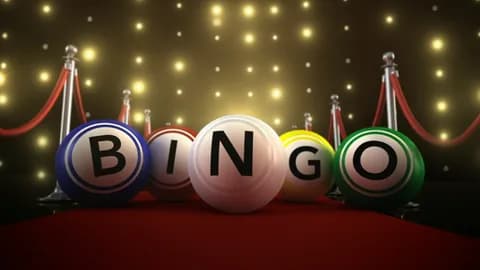 Best Bingo Sites Comparison 2024