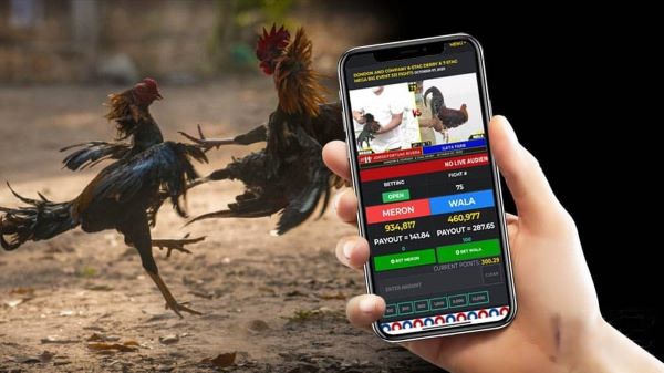 Mobile Sabong: Bet and Watch on the Go