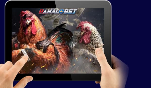 Responsible Betting in Online Sabong